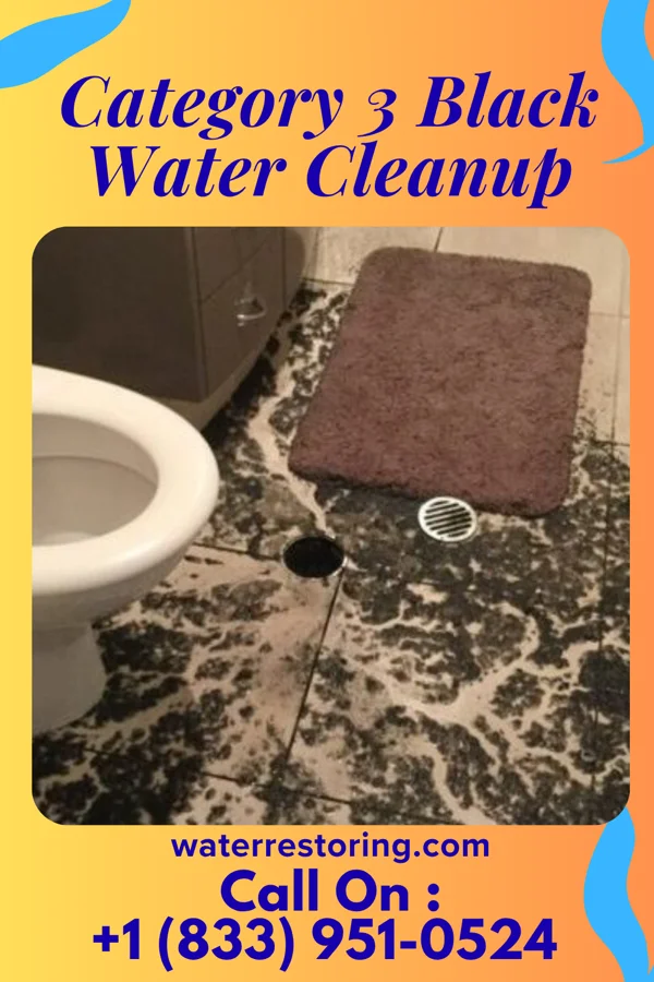 Category 3 Black Water Cleanup in Coney Island, MO