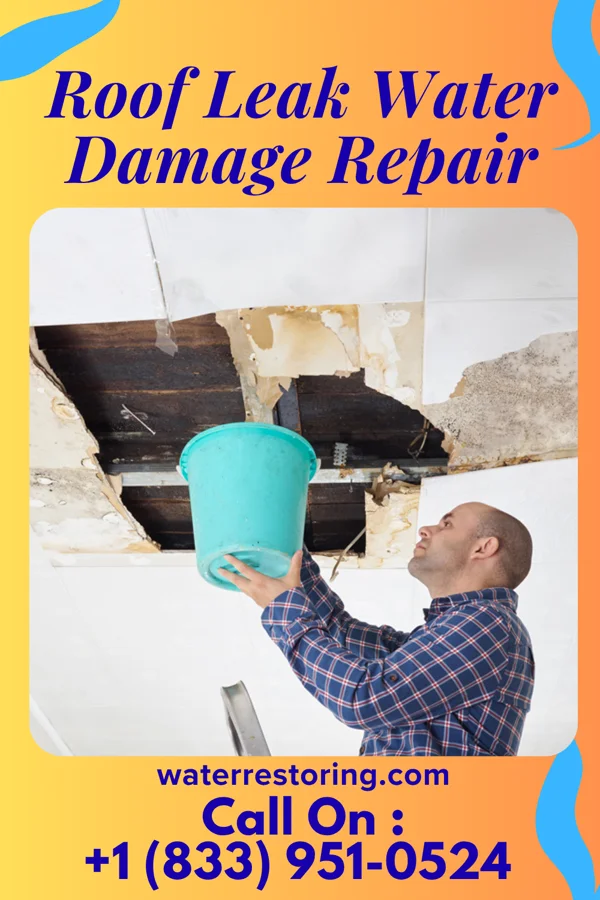 Roof Leak Water Damage Repair in Coney Island, MO